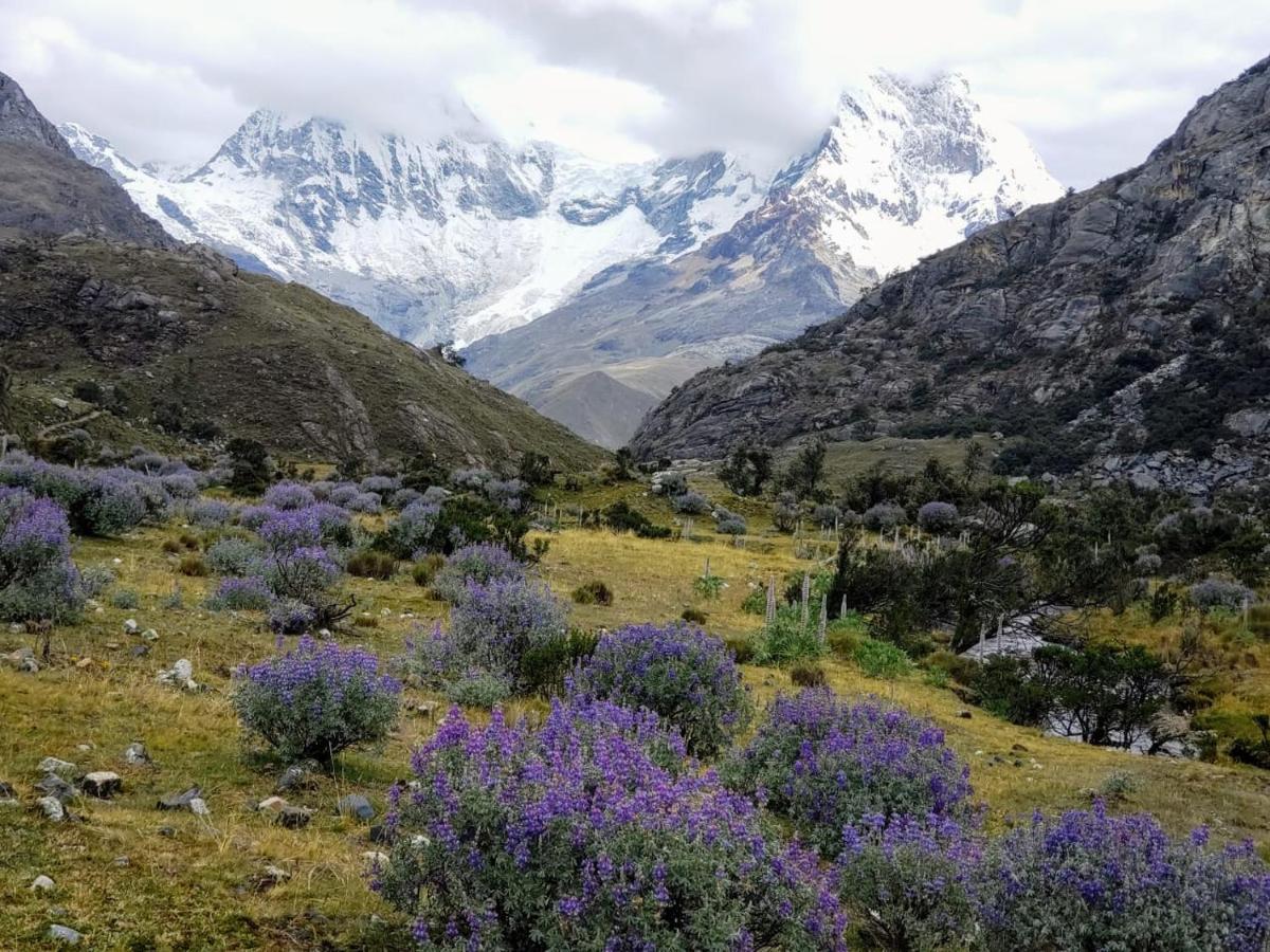 Lhotse Hostel B&B Huaraz  Exterior foto